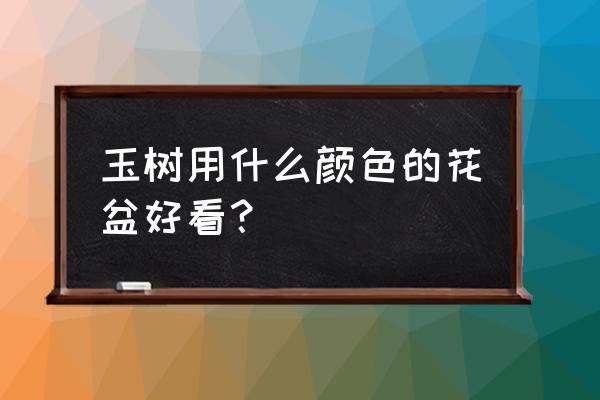 水泥花盆可以养多肉吗 玉树用什么颜色的花盆好看？