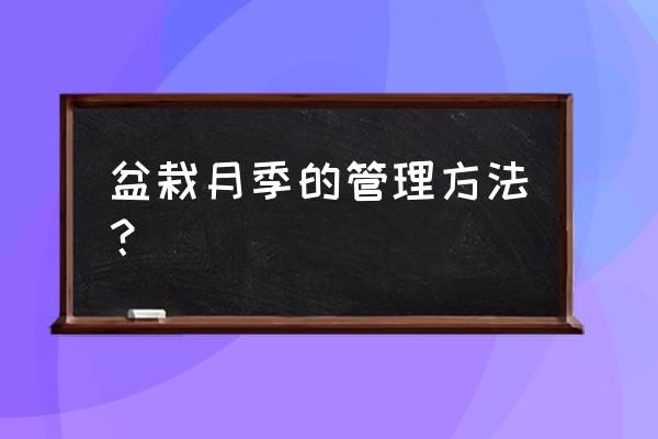 盆栽月季方法和注意事项 盆栽月季的管理方法？