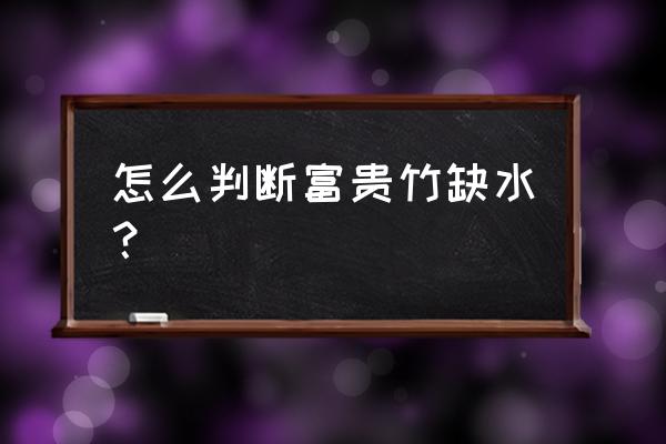 秋天富贵竹怎么不长 怎么判断富贵竹缺水？