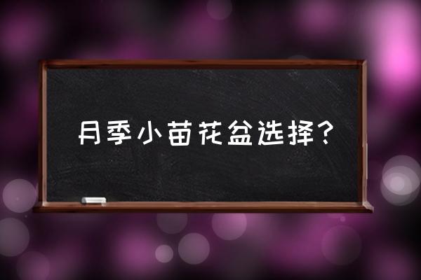 花盆选择哪种最好 月季小苗花盆选择？