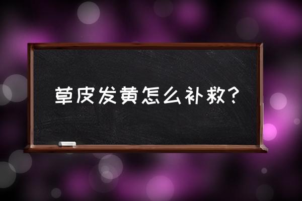 草坪枯黄怎么补救 草皮发黄怎么补救？