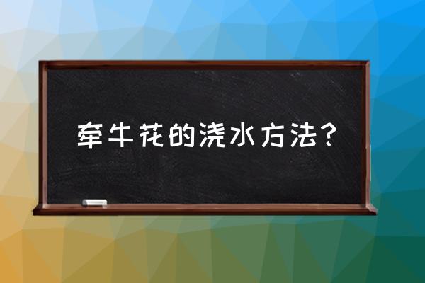 哪些花浇水要见干见湿 牵牛花的浇水方法？