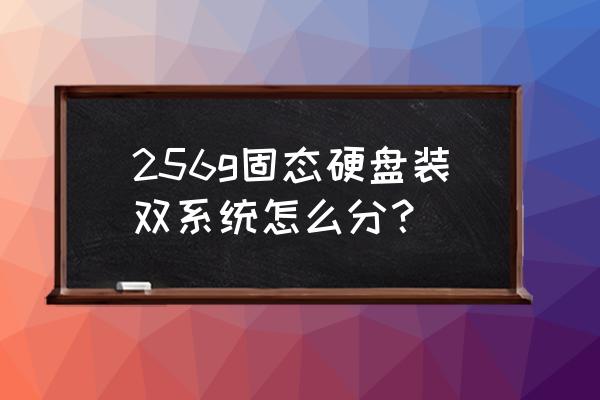 linux固态硬盘分区方法 256g固态硬盘装双系统怎么分？