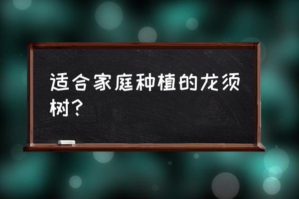 龙须树一般要浇多少水 适合家庭种植的龙须树？