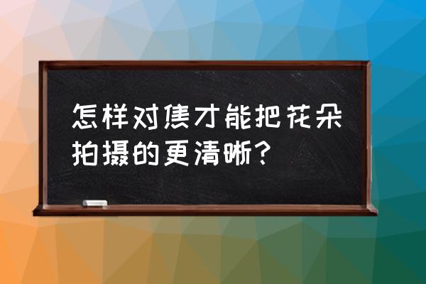 怎么拍好看又漂亮的花照 怎样对焦才能把花朵拍摄的更清晰？