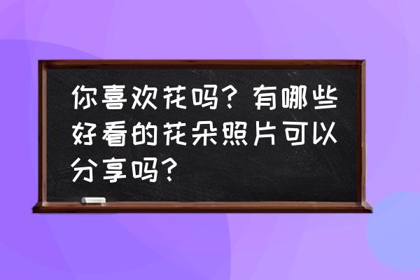 ps怎么画出手绘兰花 你喜欢花吗？有哪些好看的花朵照片可以分享吗？