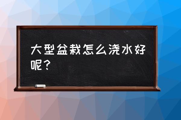 花盆种花浇水的正确方法 大型盆栽怎么浇水好呢？