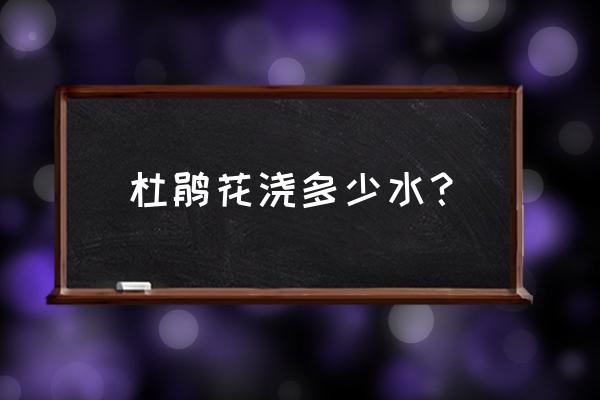 杜鹃花浇水的正确方法和注意事项 杜鹃花浇多少水？