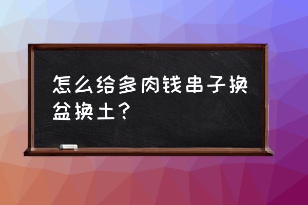 自制多肉花盆方法及图片大全集 怎么给多肉钱串子换盆换土？