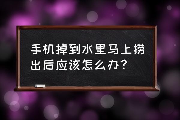 手机掉水里了正确处理方法 手机掉到水里马上捞出后应该怎么办？