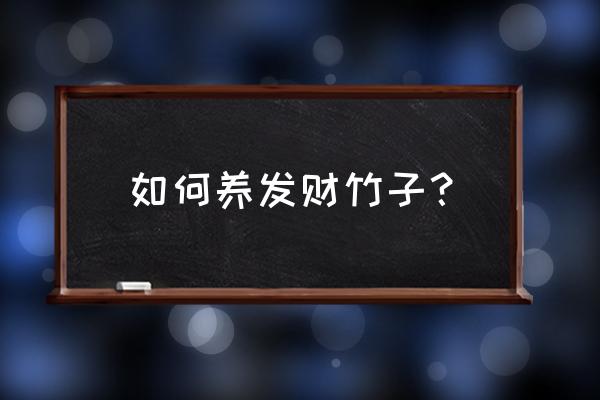 富贵竹怎么养才会好 如何养发财竹子？